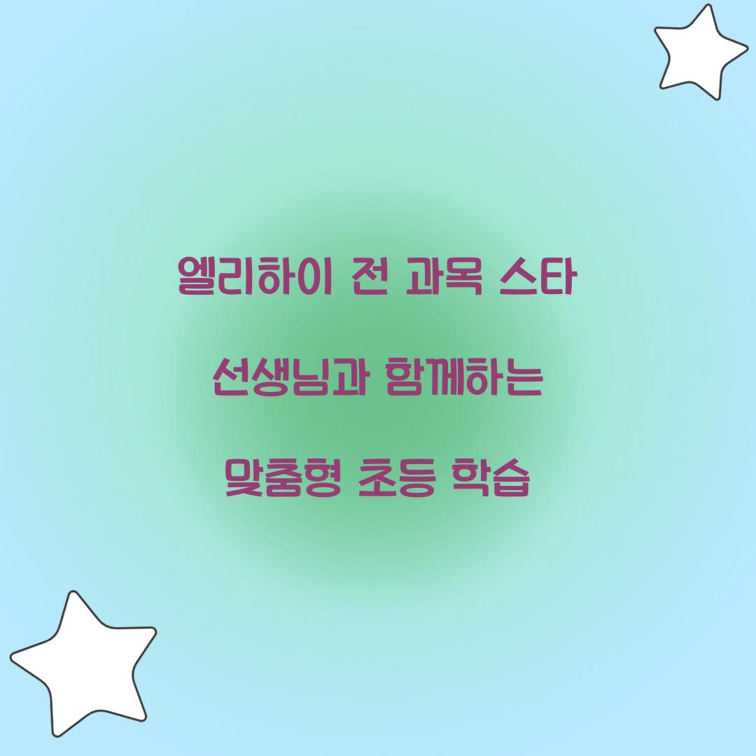 엘리하이 전 과목 스타 선생님
