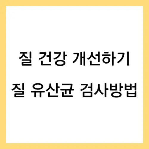 질 건강 유산균