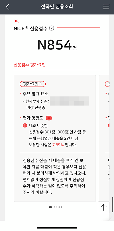 전국민-신용조회-결과