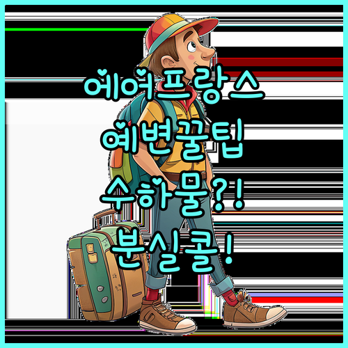 에어 프랑스 예약 변경 및 수하물 분..