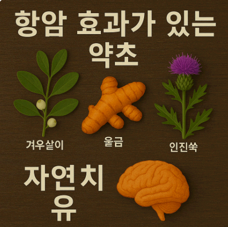 항암 효과가 있는 약초와 자연치유