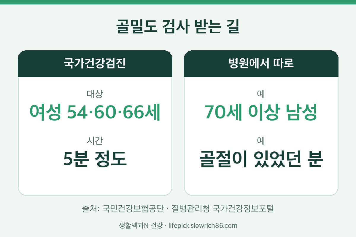 골다공증 수치 확인하는 골밀도 검사 대상 비교