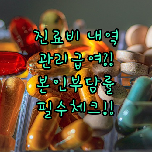 진료비 세부내역서 속 관리급여 확인과..