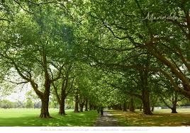 크라이스트처치 가볼만 한곳 사진. 해글리 공원, 캔터베리 박물관, 리틀하이 이터리 사진