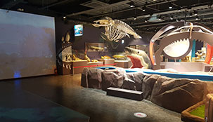 청양투어패스로 여행하기