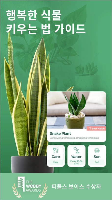 Blossom, 식물 식별, 식물 돌봄 가이드, 조도계, 카메라로 식물을 촬영하면 해당하는 종류와 정보를 식별