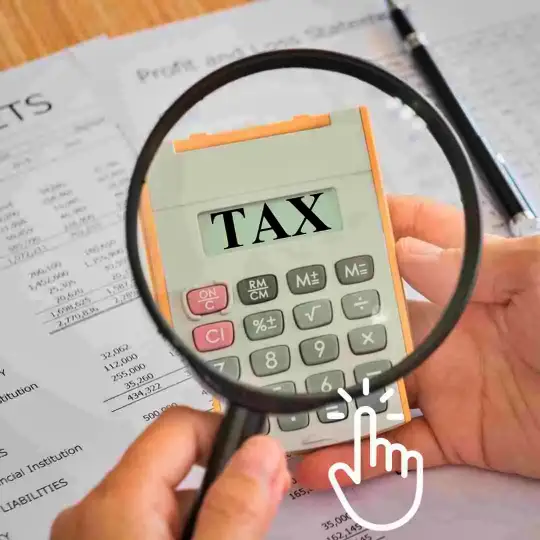 조세정책의 복잡한 영향