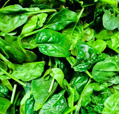 시금치 효능 부작용 고르는법 칼로리