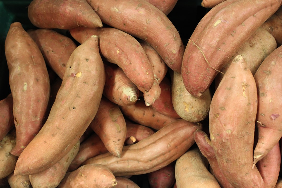 Sweet potato.