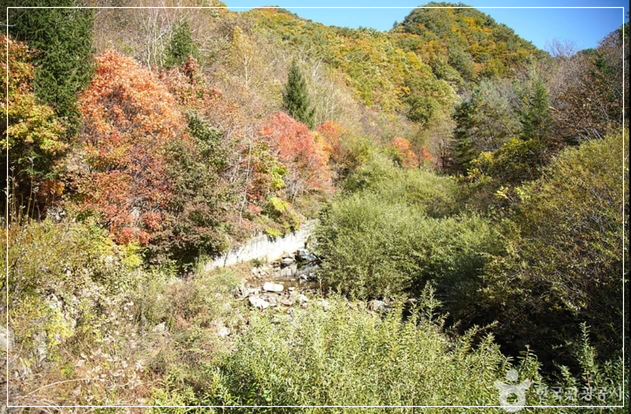 철원 가볼만한곳 베스트10 국립 복주산자연휴양림