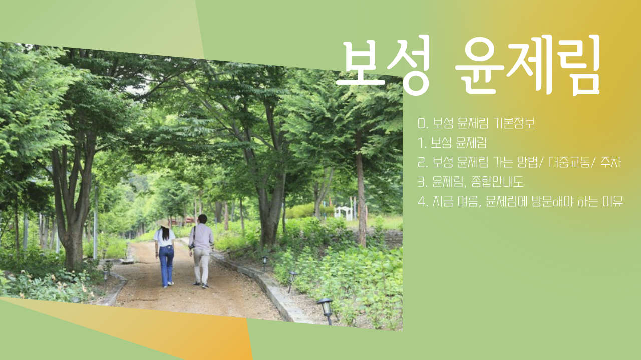 보성 아름다운 윤제림 숲 가는방법, 무료개방, 방문해야 하는 이유, 보성 가볼만한곳