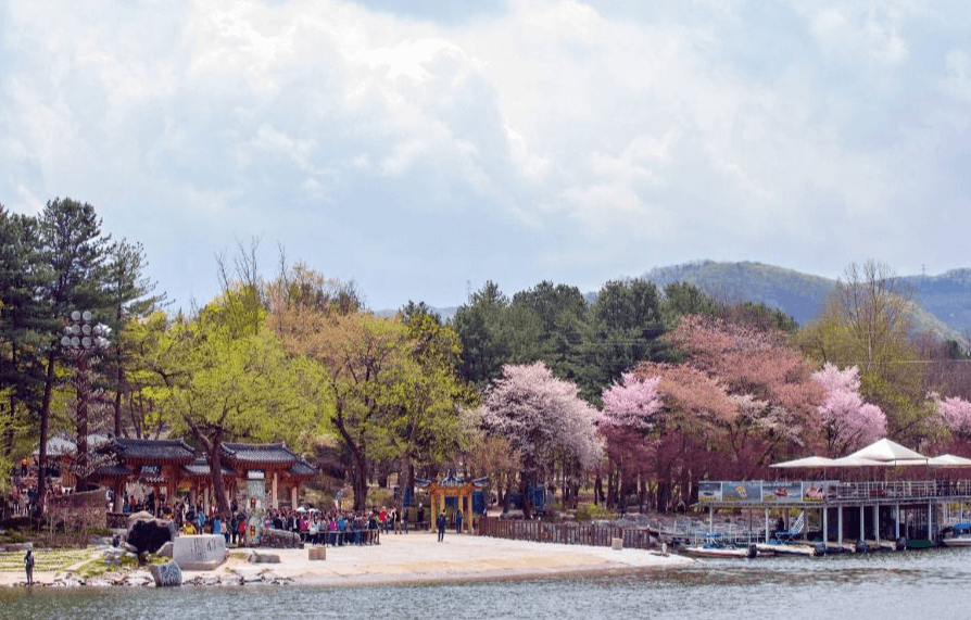 2025 남이섬 벗(友)꽃놀자&amp;#44; 벚꽃으로 물든 우정의 시간!!