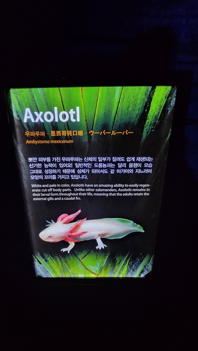 아쿠아 플라넷 제주