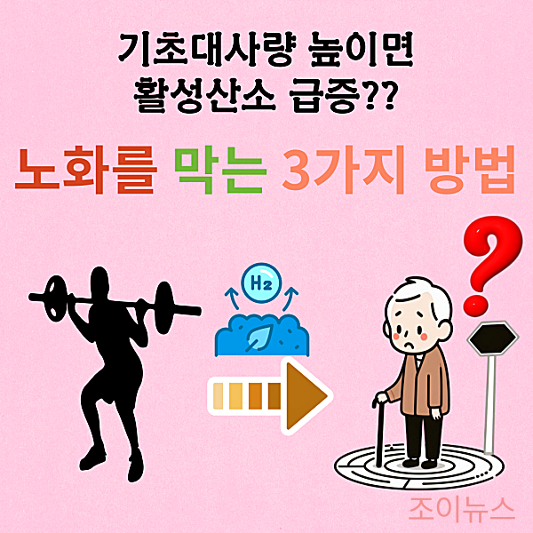 기초대사량 높으면 활성산소? 노화를 막는 3가지 방법