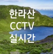 한라산 실시간 CCTV