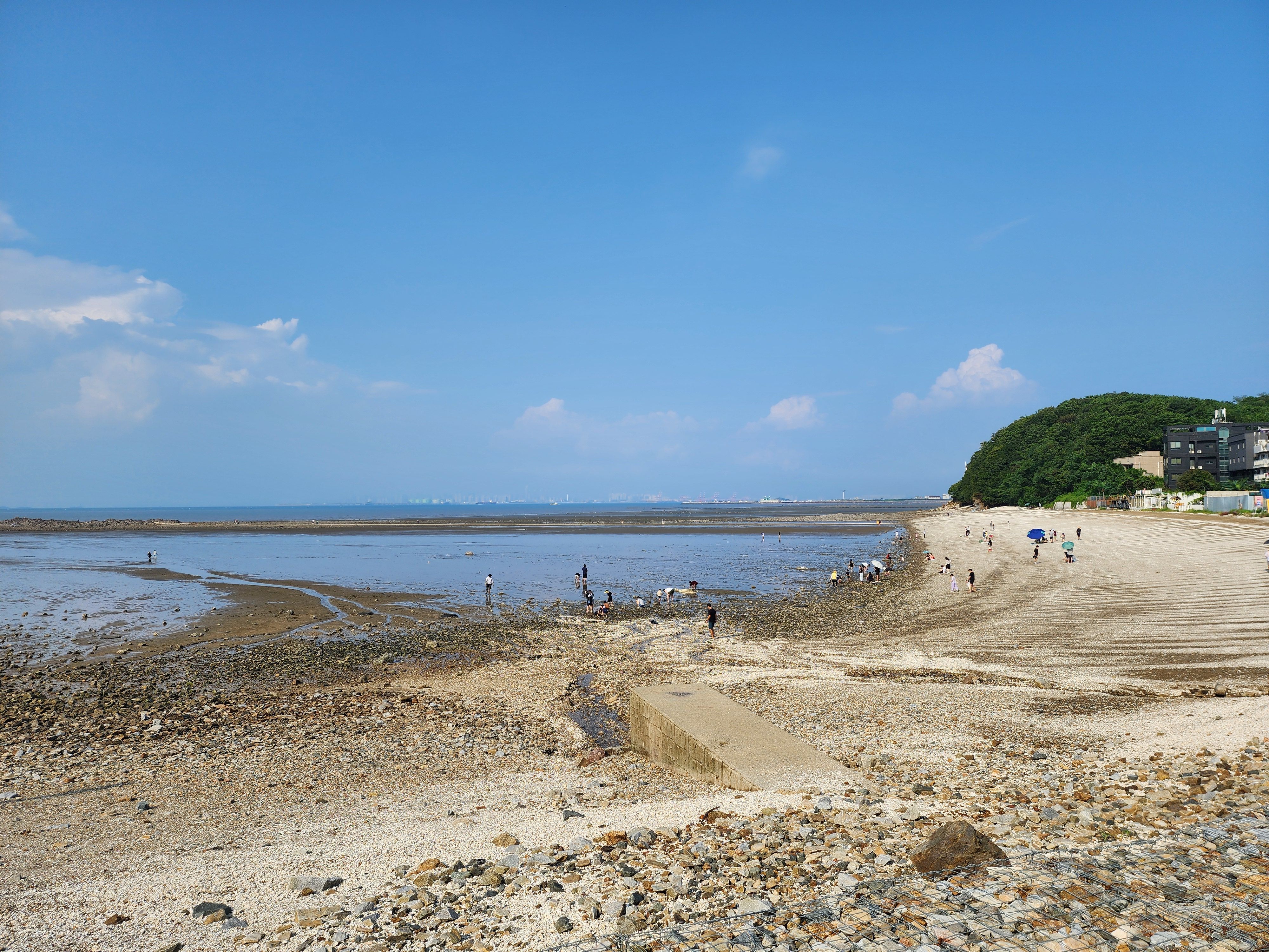 대부도 오션뷰 카페 빈솔트