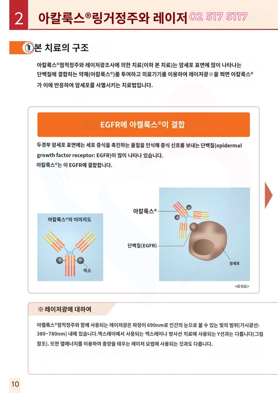 두경부암 광면역치료