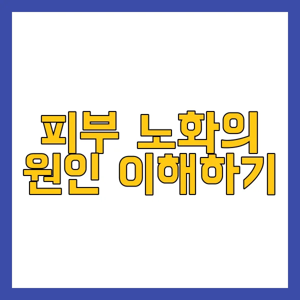 피부 노화