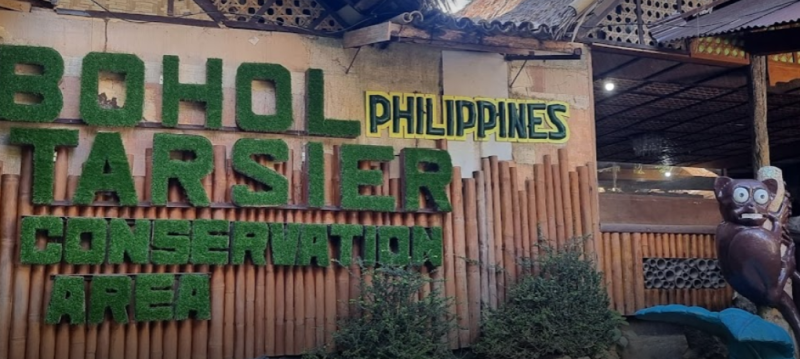 필리핀 보홀 자유여행 필수 투어 코스 액티비티 여행