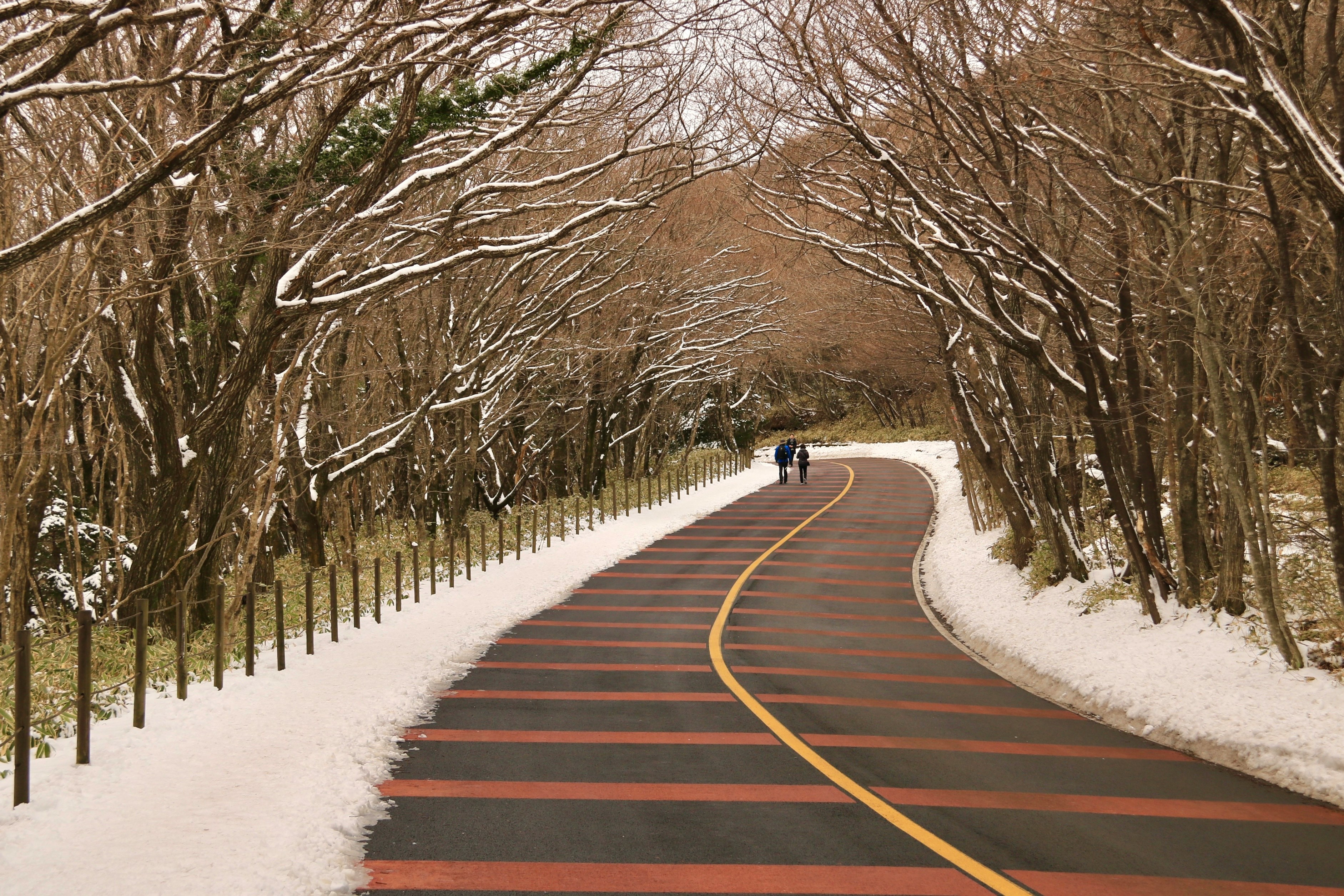 국립공원 야영장 예약