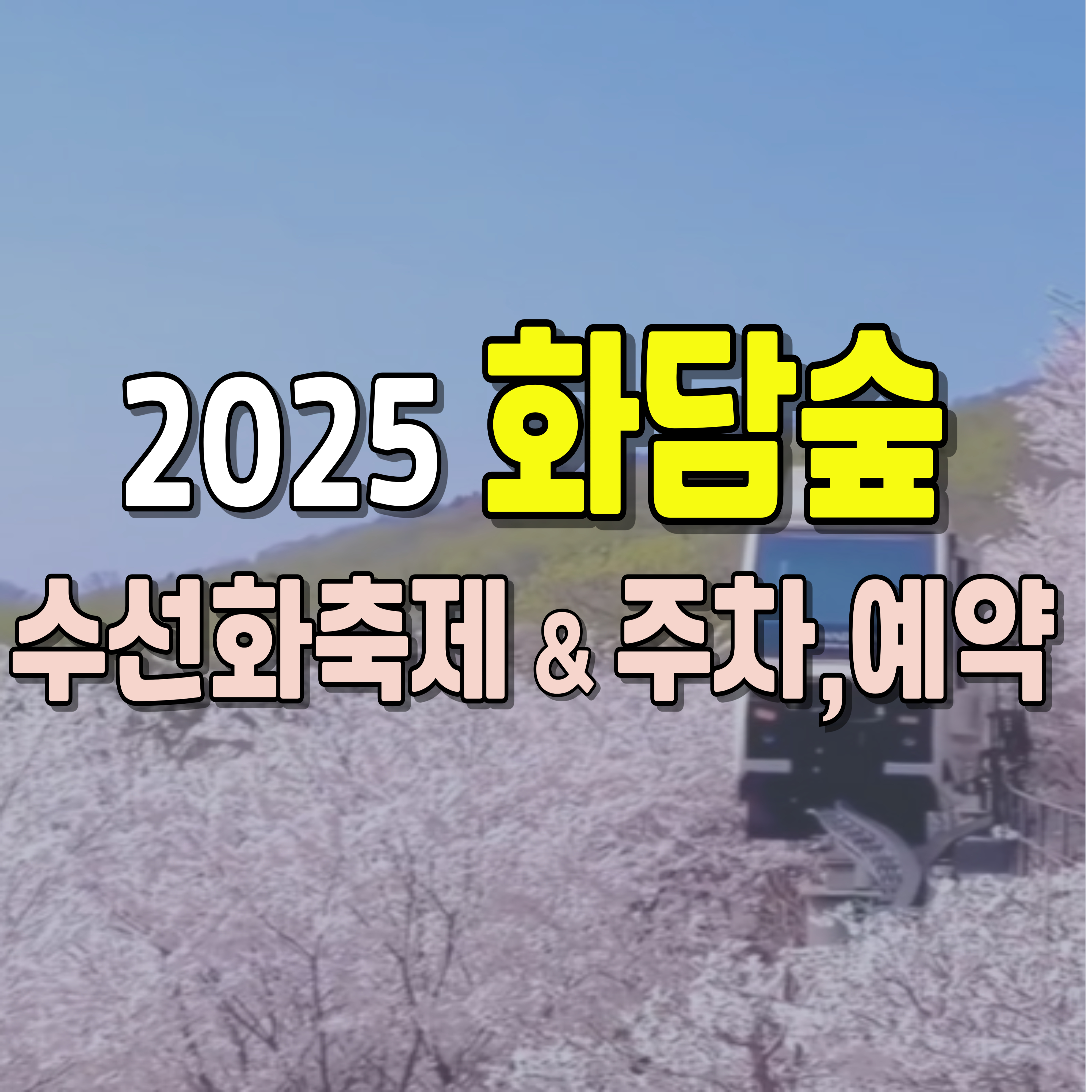 화담숲-벚꽃-주차-1