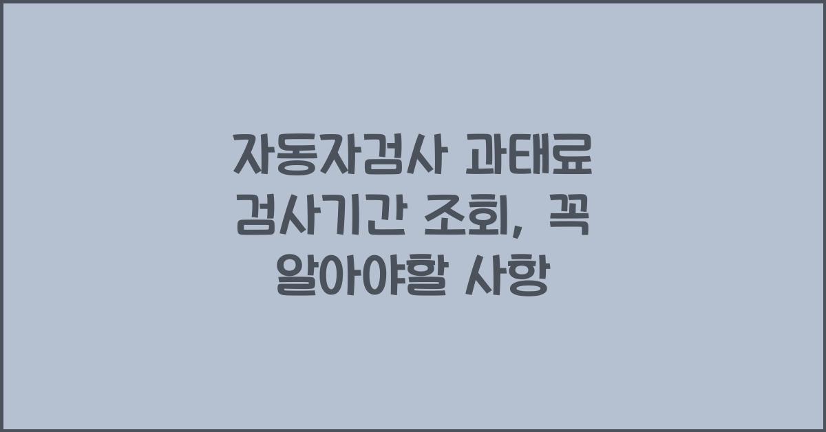 자동자검사 과태료 검사기간 조회