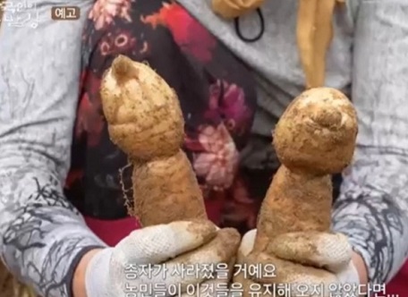 무주덕유산천마