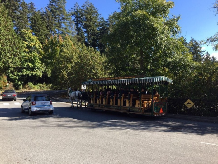horse drawn tour