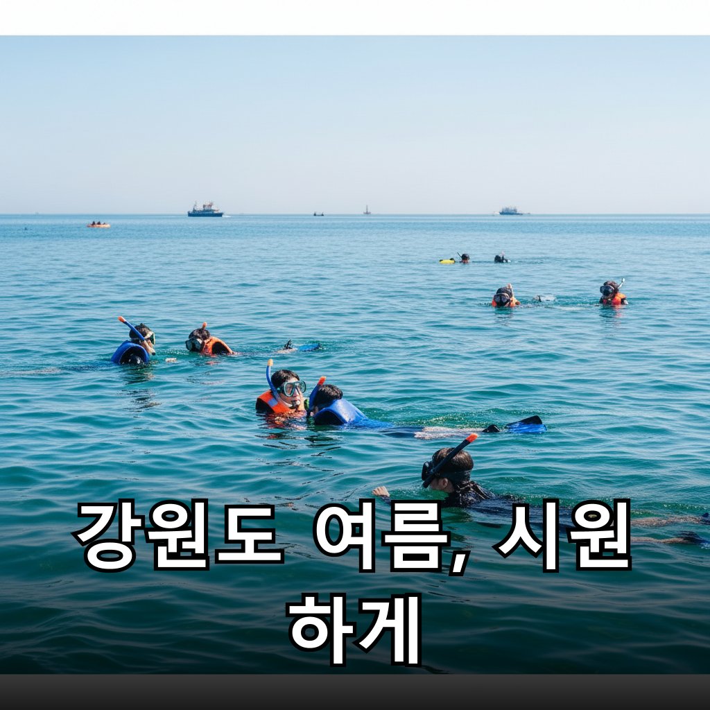 동해 바다에서 스노클링을 즐기는 모습