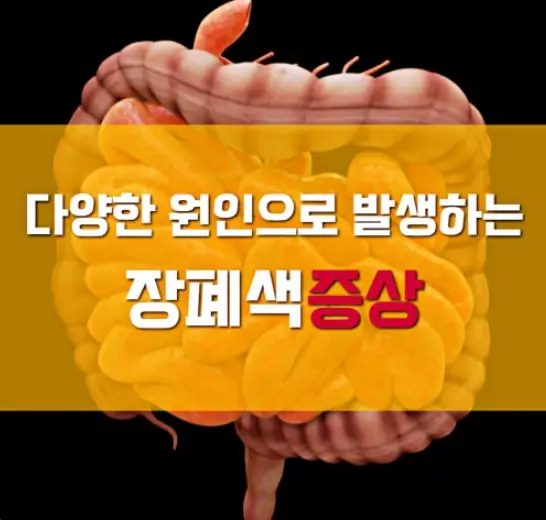 장폐색 증상