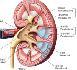 손이 붓는 이유-8