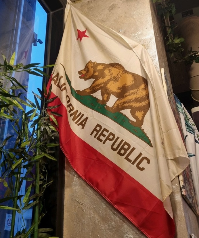 미국식- 쌀국수-달인