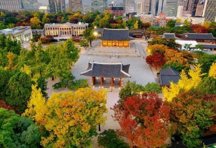 서울 고궁 이번 가을 꼭 가봐야할 BEST 4