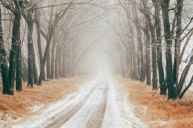 겨울 여행지 추천