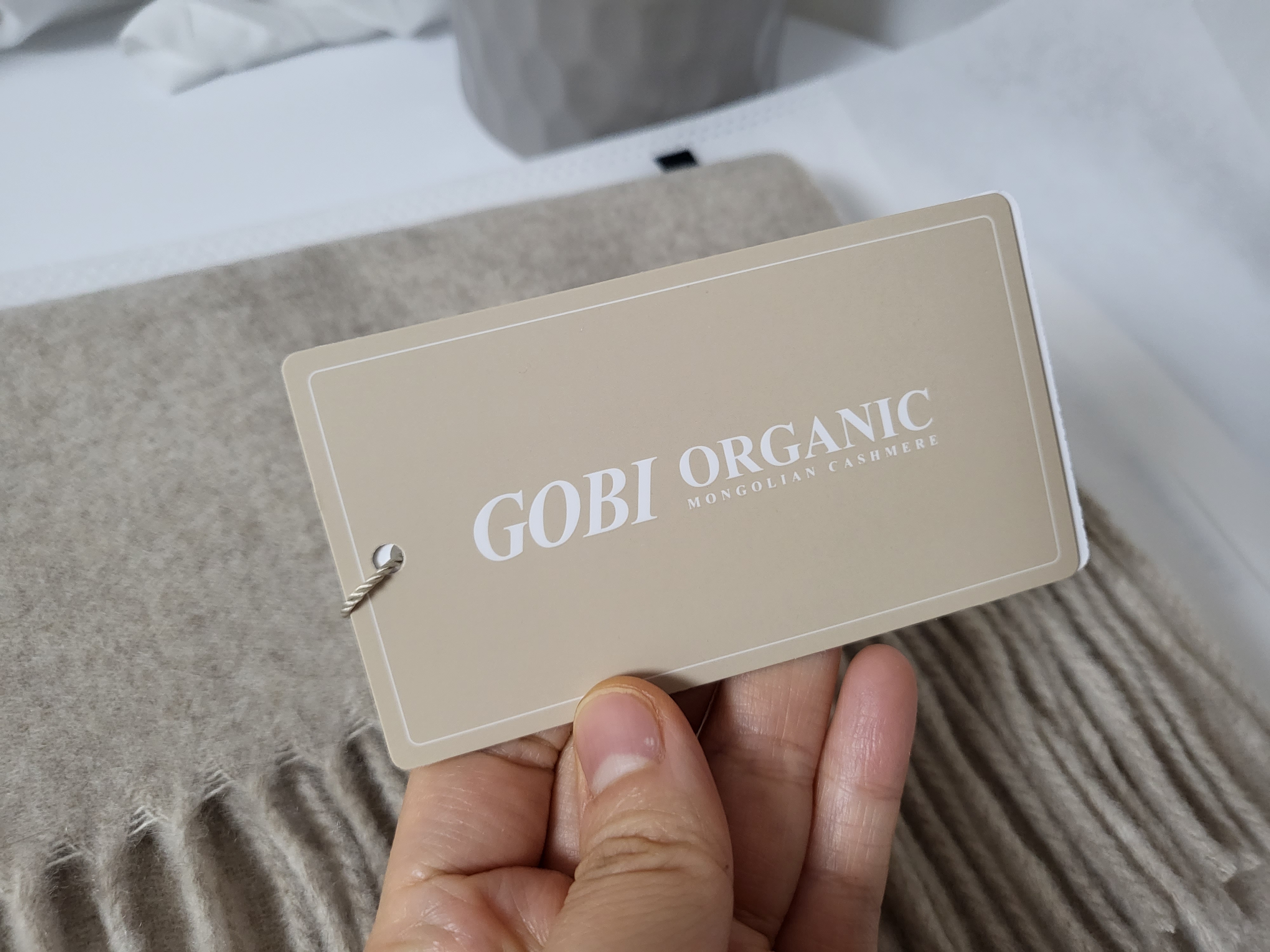 고비 GOBI 캐시미어 머플러 오트밀 색상