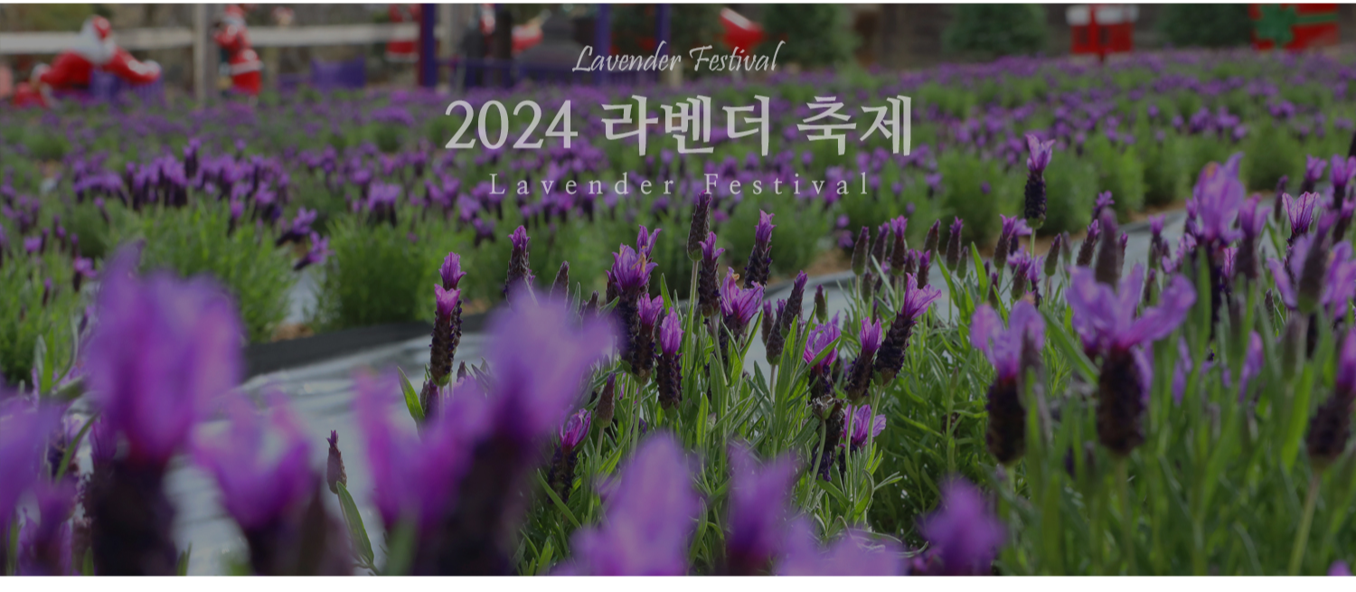 [반려견 동반, 서울 근교 여행지] 포천 허브아일랜드, 반려견과 함께 떠나는 사계절 힐링 여행