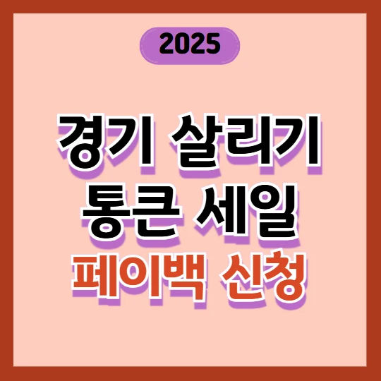 경기 살리기 통큰 세일 페이백 신청 방법 총정리(최대 3만 원 환급)