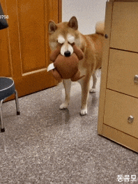 11월 28일 화 신문스크랩