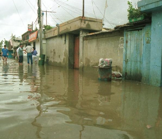 손해평가사 연봉,직장 알아보기
