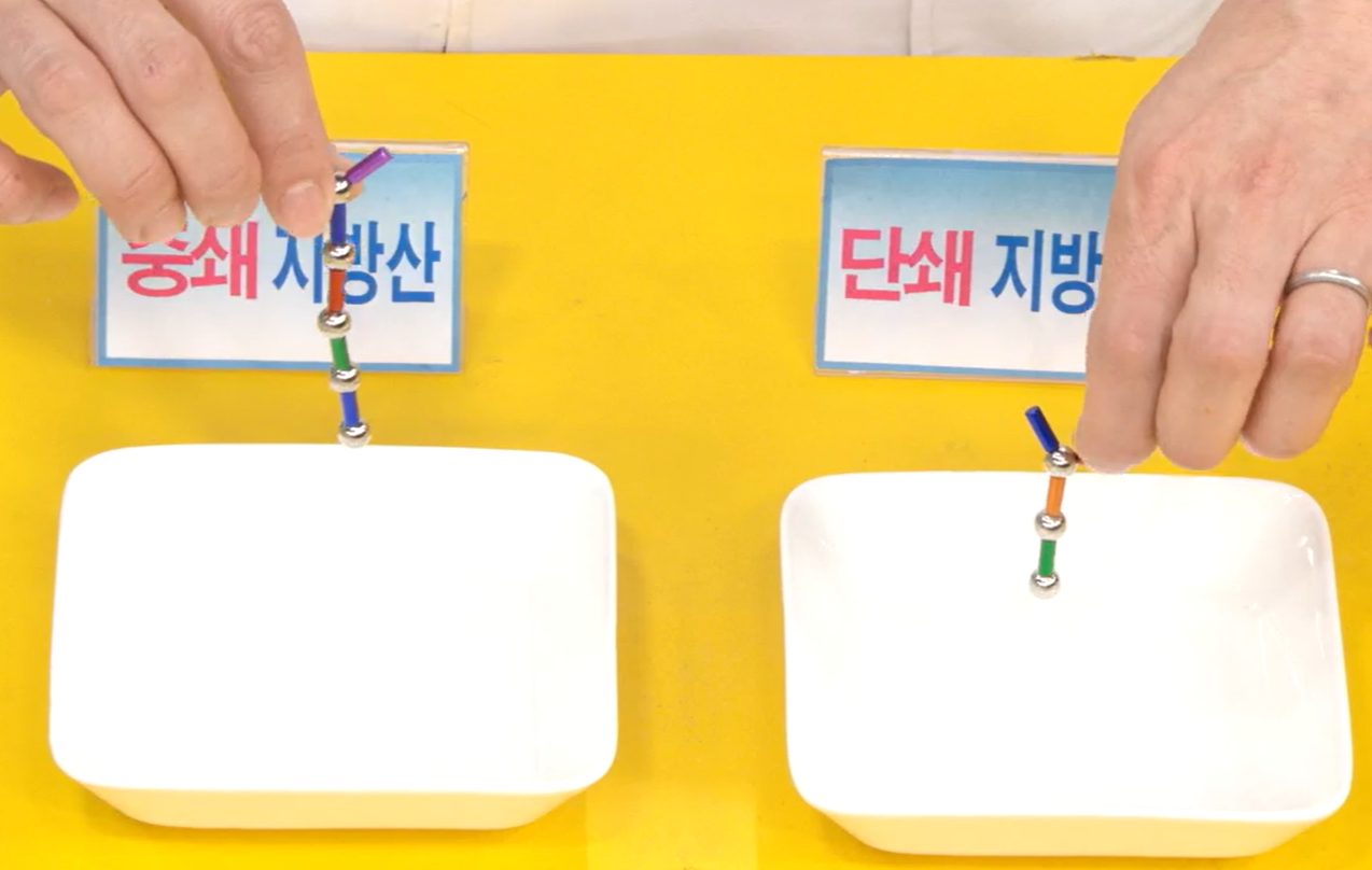 산양유 단백질 효능