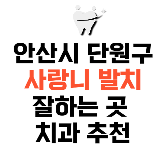 경기도 안산시 단원구 사랑니 치과 발치 잘하는 곳 추천 매복 가격 비용.png