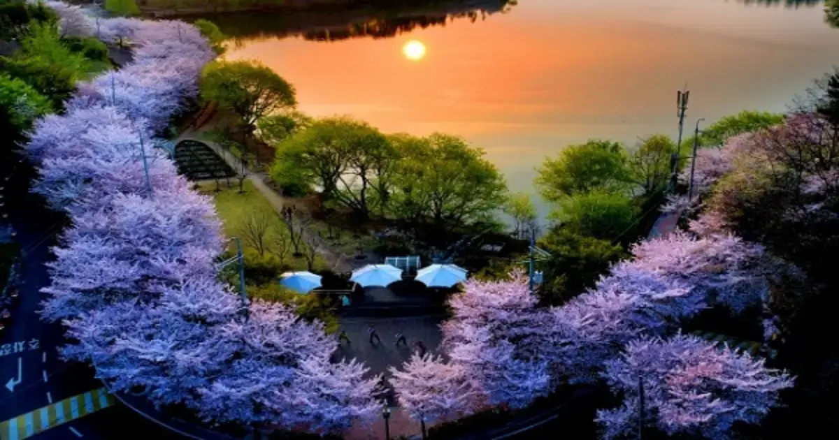 선암호수공원