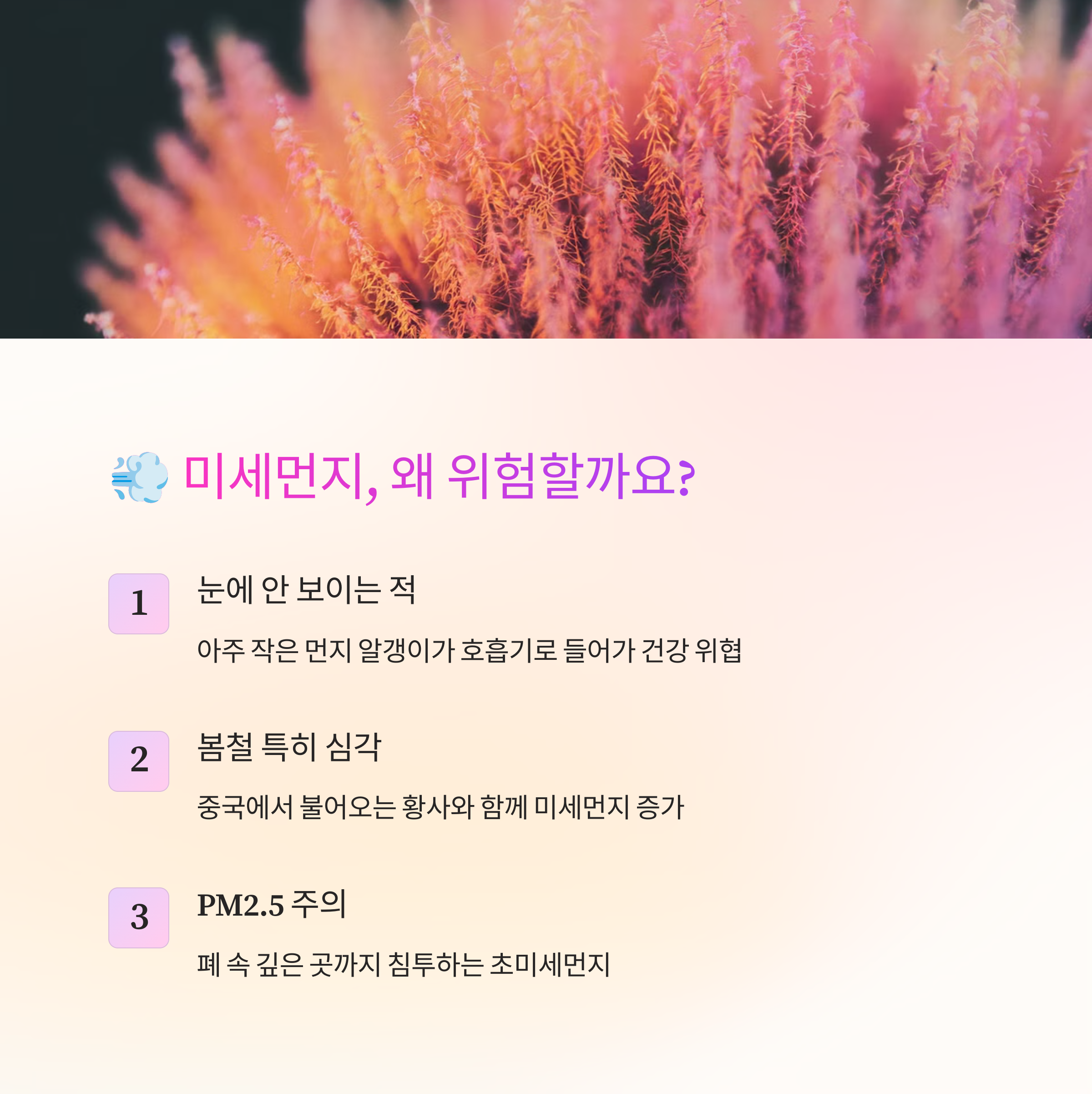 봄철 미세먼지와 건강관리