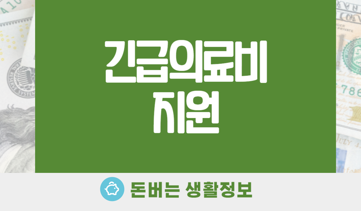 긴급의료비지원