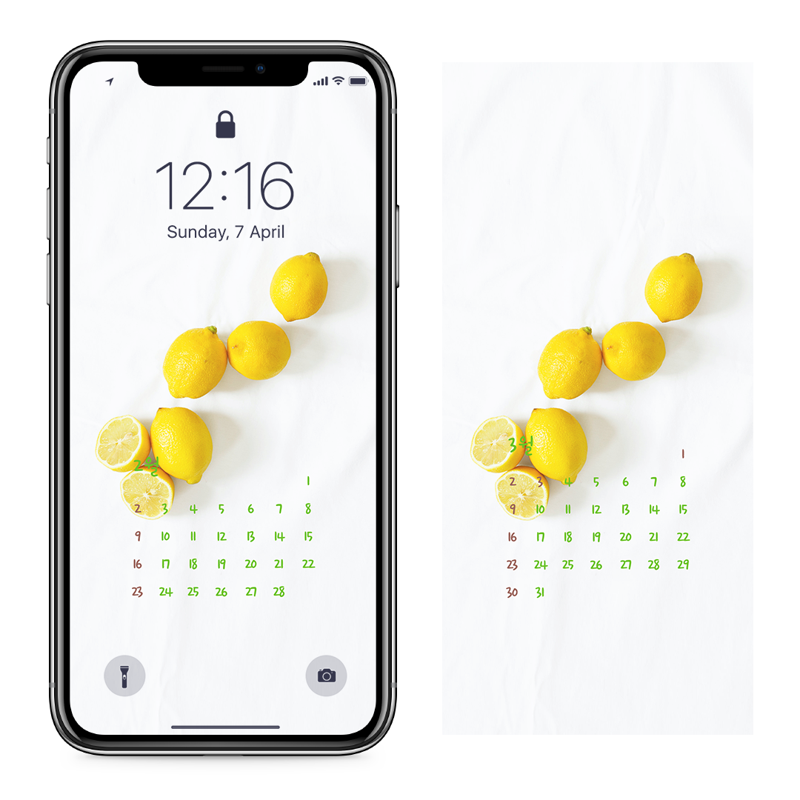 04 레몬 AB - 2025년2월 아이폰달력배경화면