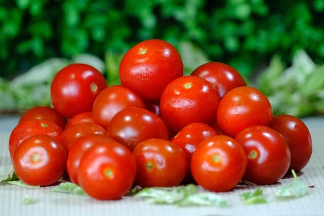 🍅 일반 토마토 vs 방울토마토, 혈당을 더 올리는 건 누구일까요?