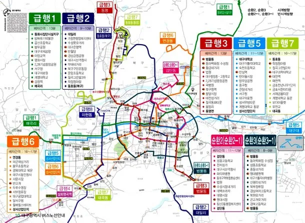 대구 시내버스 첫차시간 노선별 운행정보와 이용 꿀팁_5