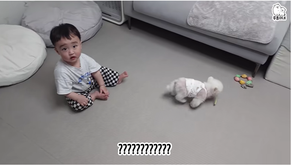 아기에게만 간식을 줬더니... 강아지에게 나눠주는 착한 아기👶