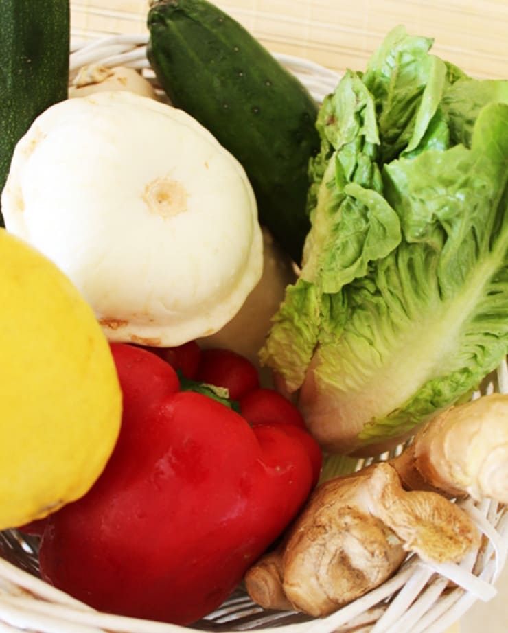 각종-채소-모음-피망-배추-기타