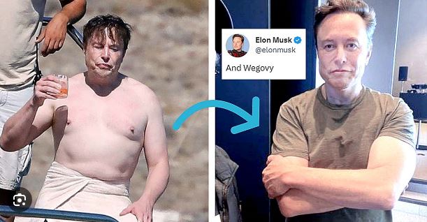 위고비-효과-효능